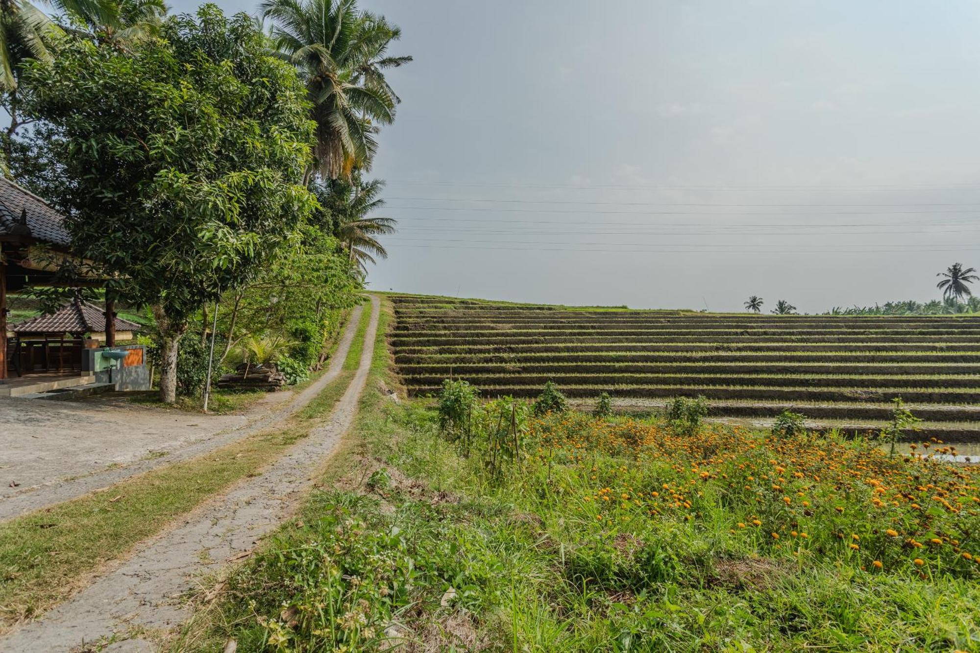Pondok Hari Baik Balian Ngoại thất bức ảnh