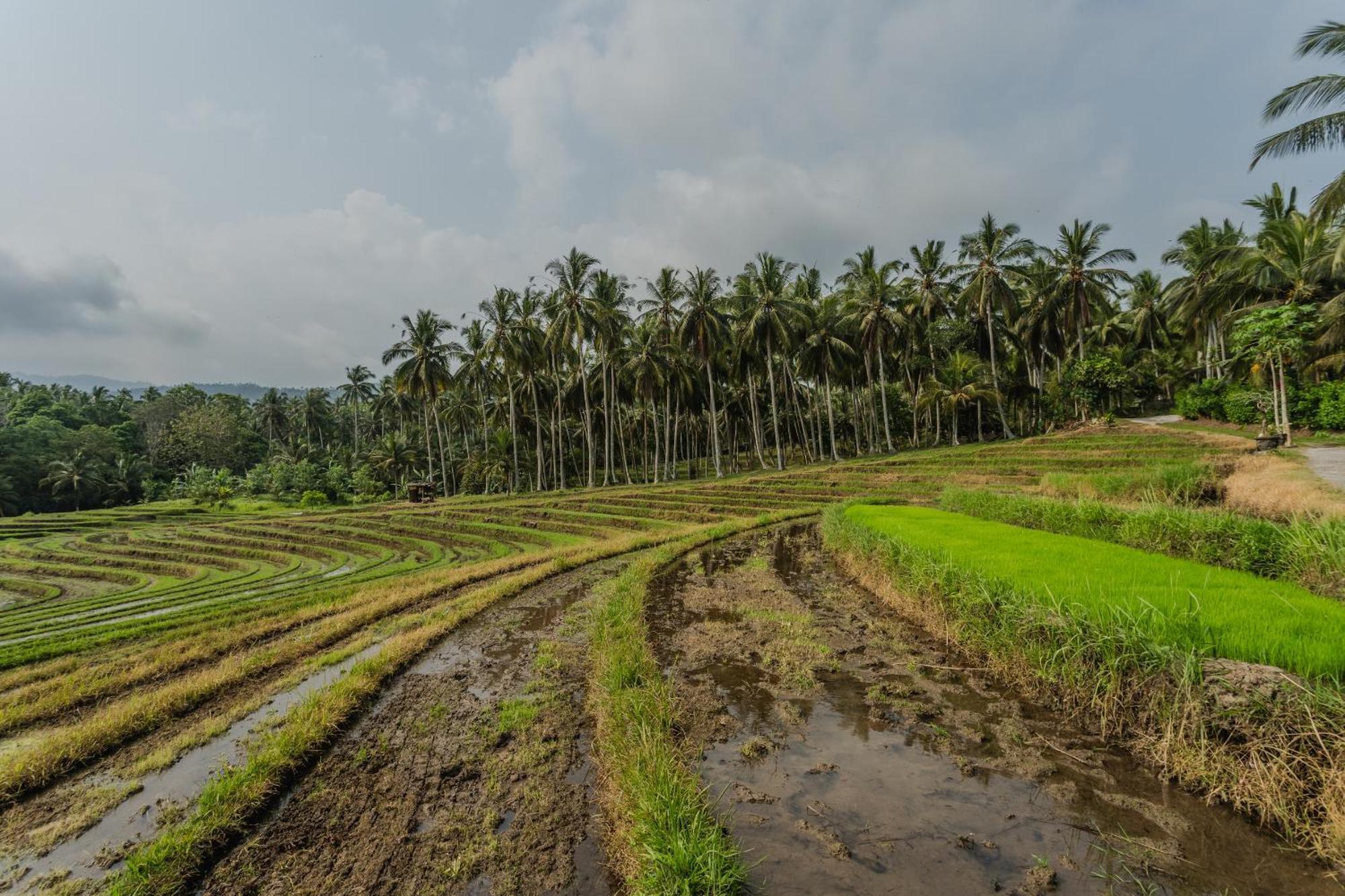Pondok Hari Baik Balian Ngoại thất bức ảnh